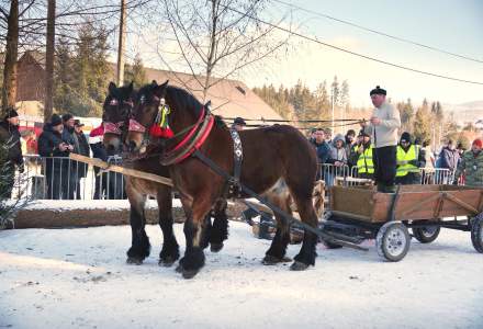 Zawody Furmanów 2025; fot. Bronka Polok