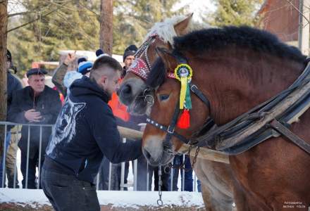 Zawody Furmanów 2025; fot. Bronka Polok