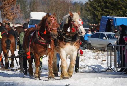 Zawody Furmanów 2025; fot. Bronka Polok