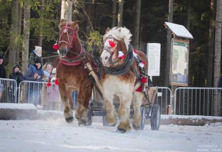 Zawody Furmanów 2025; fot. Bronka Polok