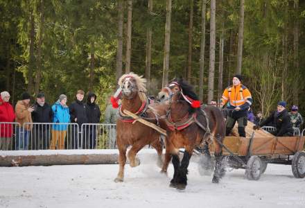 Zawody Furmanów 2025; fot. Bronka Polok