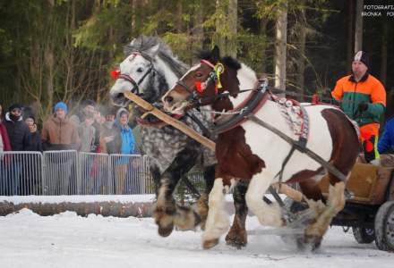 Zawody Furmanów 2025; fot. Bronka Polok