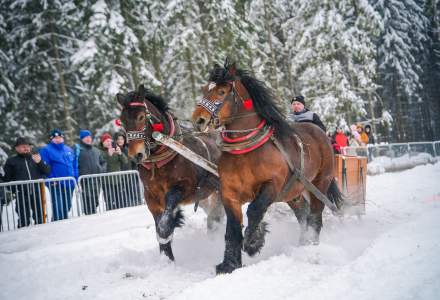 Zawody Furmanów 2026 fot. M. Kuźma