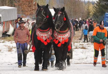 Zawody Furmanów 2025; fot. Bronka Polok