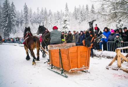 Zawody Furmanów 2026 fot. M. Kuźma