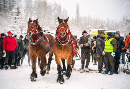 Zawody Furmanów 2026 fot. M. Kuźma