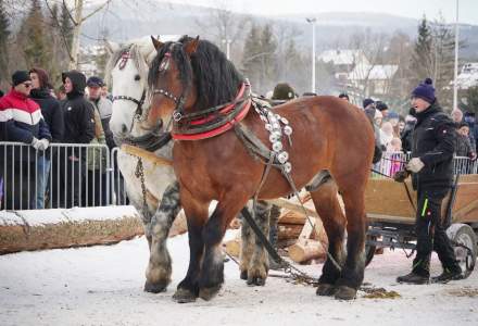 Zawody Furmanów 2025; fot. Bronka Polok