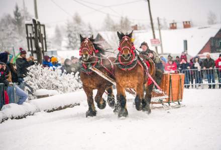 Zawody Furmanów 2026 fot. M. Kuźma