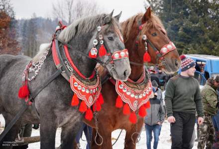 Zawody Furmanów 2025; fot. Bronka Polok