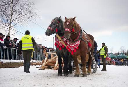 Zawody Furmanów 2025; fot. Bronka Polok