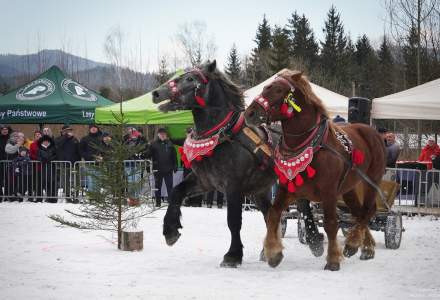 Zawody Furmanów 2025; fot. Bronka Polok