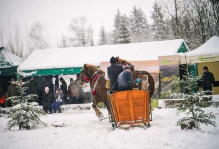 Zawody Furmanów 2026 fot. M. Kuźma