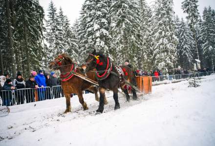 Zawody Furmanów 2026 fot. M. Kuźma