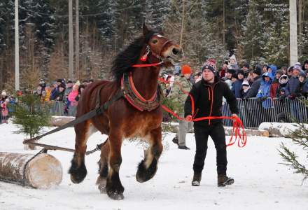 Zawody Furmanów 2025; fot. Bronka Polok