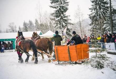 Zawody Furmanów 2026 fot. M. Kuźma