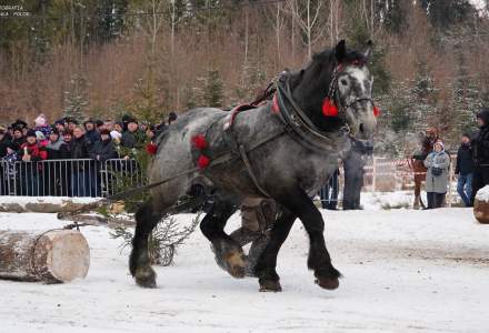 Zawody Furmanów 2025; fot. Bronka Polok