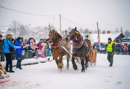 Zawody Furmanów 2026 fot. M. Kuźma