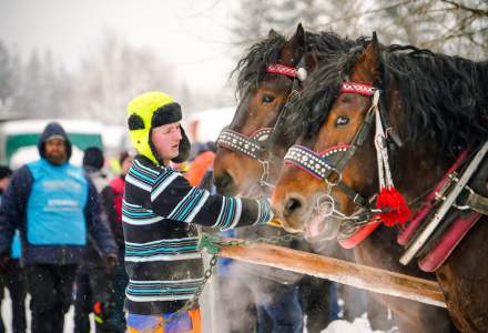 Zawody Furmanów 2026 fot. M. Kuźma