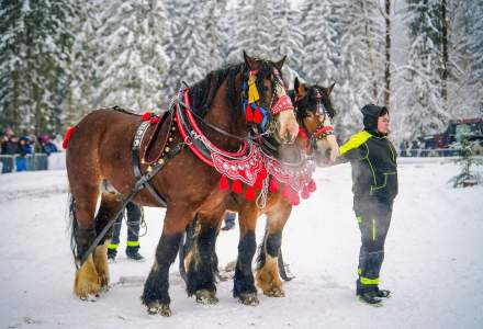 Zawody Furmanów 2026 fot. M. Kuźma