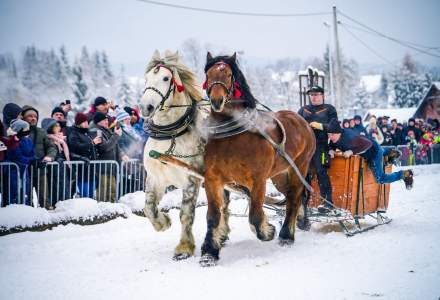 Zawody Furmanów 2026 fot. M. Kuźma