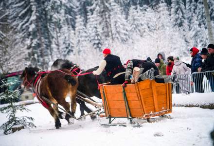 Zawody Furmanów 2026 fot. M. Kuźma
