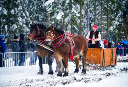 Zawody Furmanów 2026 fot. M. Kuźma