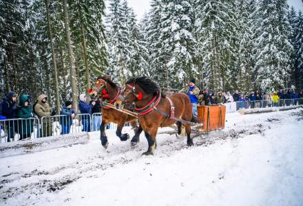 Zawody Furmanów 2026 fot. M. Kuźma