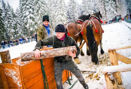 Zawody Furmanów 2026 fot. M. Kuźma