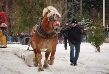 Zawody Furmanów 2025; fot. Bronka Polok