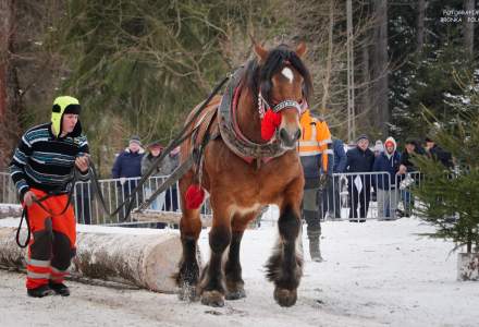 Zawody Furmanów 2025; fot. Bronka Polok