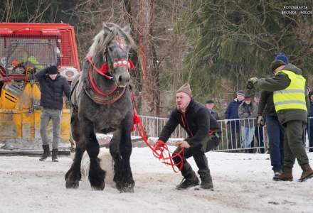 Zawody Furmanów 2025; fot. Bronka Polok