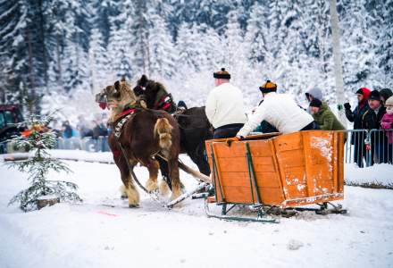 Zawody Furmanów 2026 fot. M. Kuźma