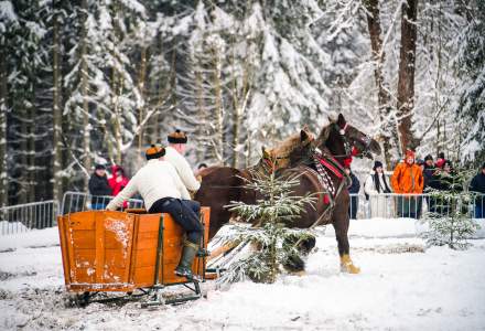 Zawody Furmanów 2026 fot. M. Kuźma