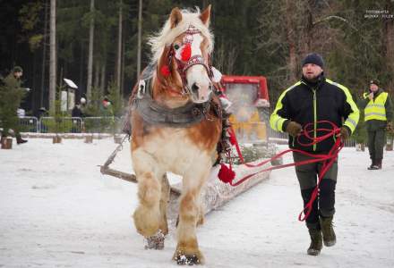 Zawody Furmanów 2025; fot. Bronka Polok