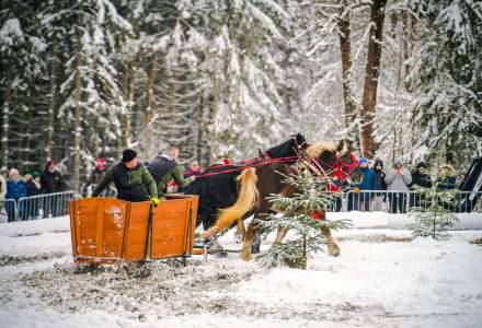 Zawody Furmanów 2026 fot. M. Kuźma