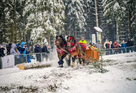 Zawody Furmanów 2026 fot. M. Kuźma