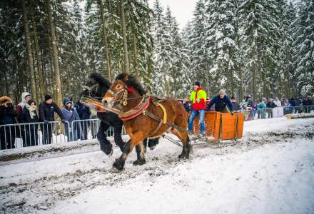 Zawody Furmanów 2026 fot. M. Kuźma