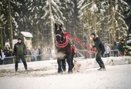 Zimowe Zawody Furmanów fot. Michał Kuźma