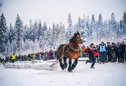 Zimowe Zawody Furmanów fot. Michał Kuźma