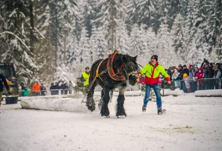 Zimowe Zawody Furmanów fot. Michał Kuźma