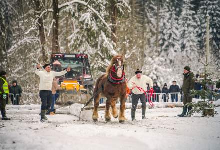 Zimowe Zawody Furmanów fot. Michał Kuźma