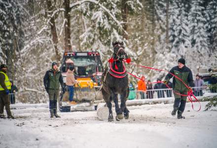 Zimowe Zawody Furmanów fot. Michał Kuźma
