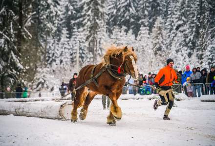Zimowe Zawody Furmanów fot. Michał Kuźma