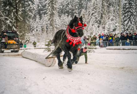 Zimowe Zawody Furmanów fot. Michał Kuźma