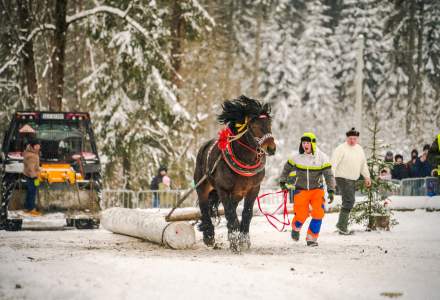 Zimowe Zawody Furmanów fot. Michał Kuźma