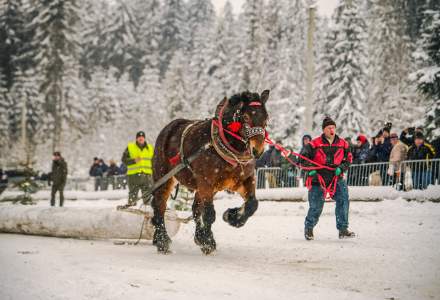 Zimowe Zawody Furmanów fot. Michał Kuźma