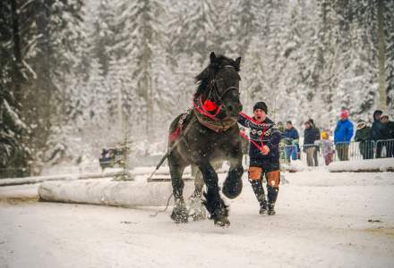 Zimowe Zawody Furmanów fot. Michał Kuźma
