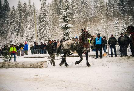 Zimowe Zawody Furmanów fot. Michał Kuźma