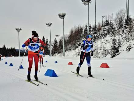 Liga Regionalna