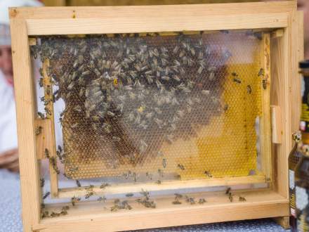 Kiermasz Rękodzieła